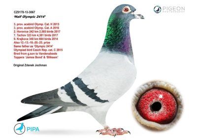 «HALF OLYMPIC 2414»
