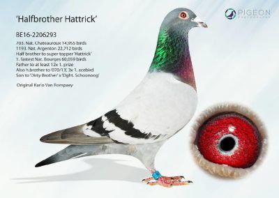 «HALFBROTHER HATTRICK»