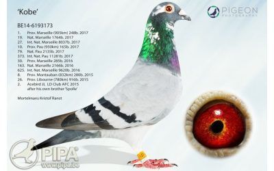 VISITA A KRISTOF MORTELMANS SEPTIEMBRE ’25