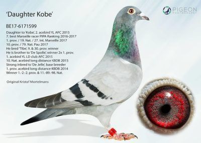 «DAUGHTER KOBE»