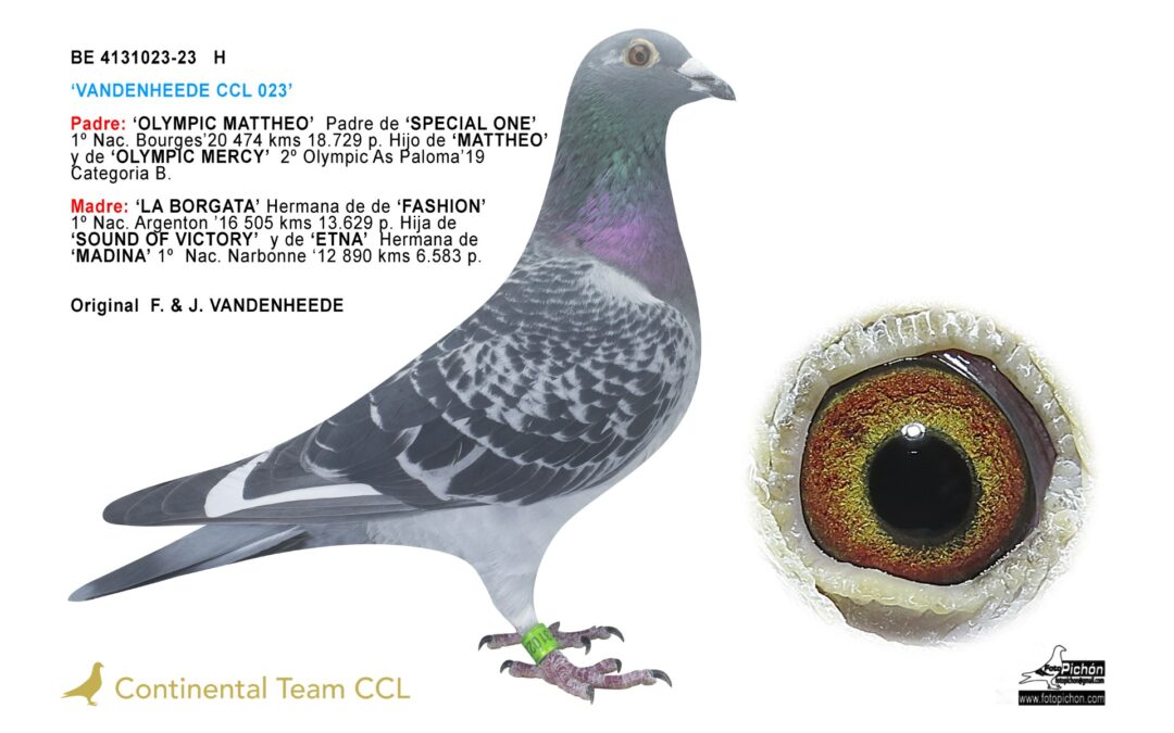 «VANDENHEEDE CCL 023»
