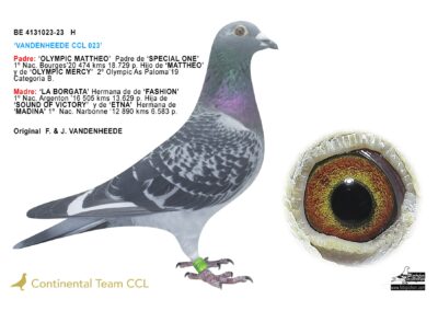 «VANDENHEEDE CCL 023»