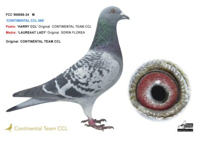 «CONTINENTAL CCL 066» (NO DISPONIBLE)