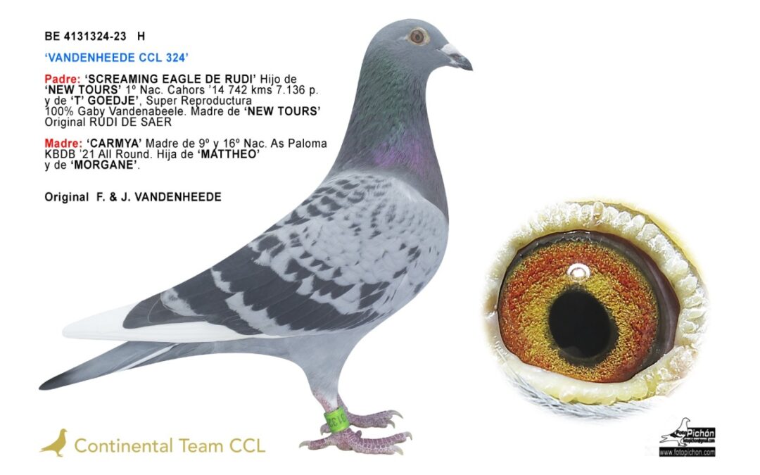 «VANDENHEEDE CCL 324»