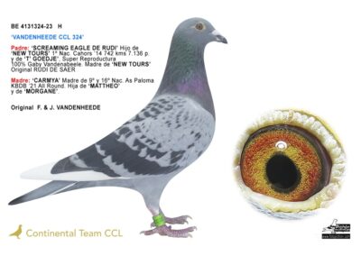 «VANDENHEEDE CCL 324»