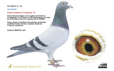 RESULTADOS CLUB COLOMBOFILO GUATISEA
