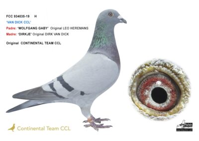 «VAN DICK CCL 035»
