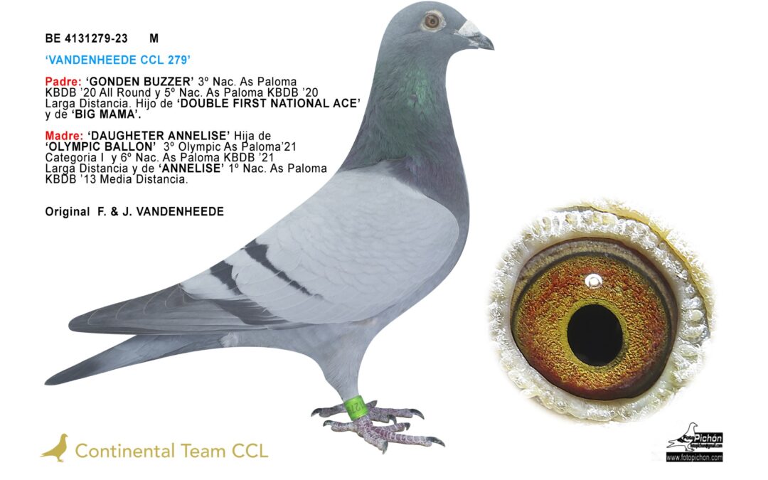 «VANDENHEEDE CCL 279»