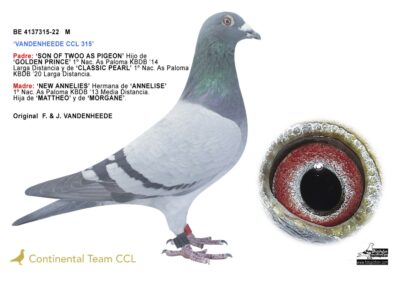 «VANDENHEEDE CCL 315 & VANDENHEEDE CCL 216»