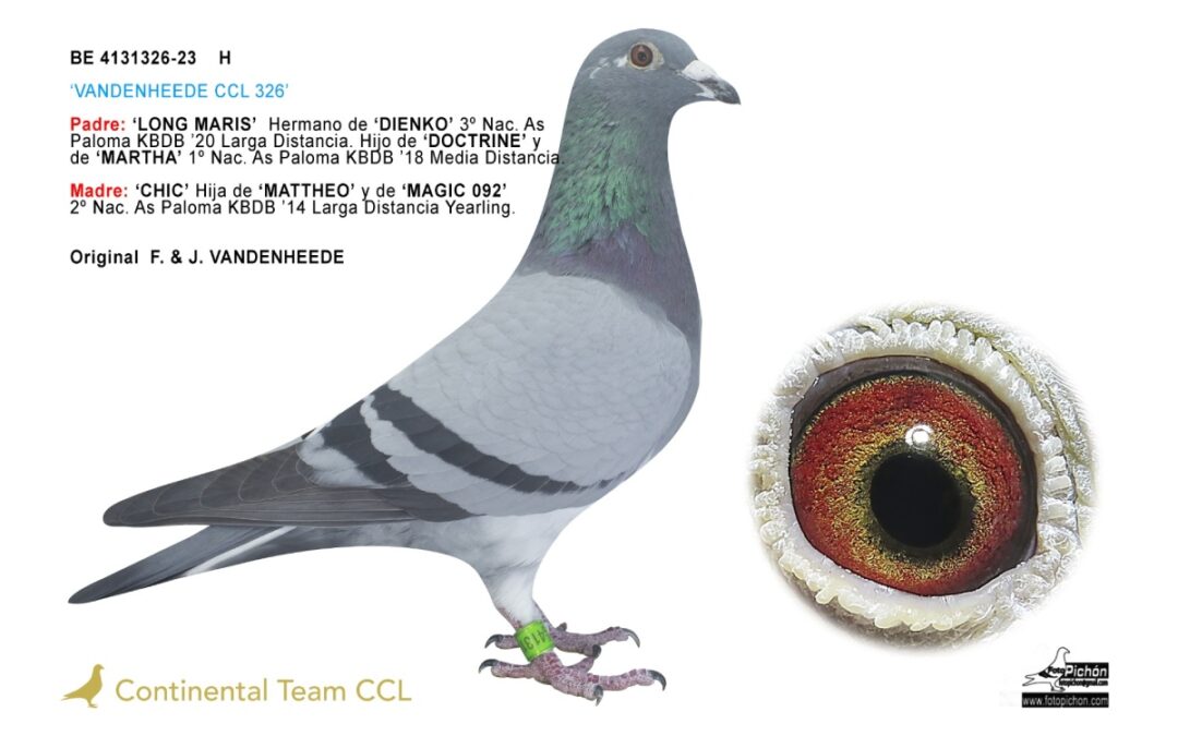 «VANDENHEEDE CCL 326»