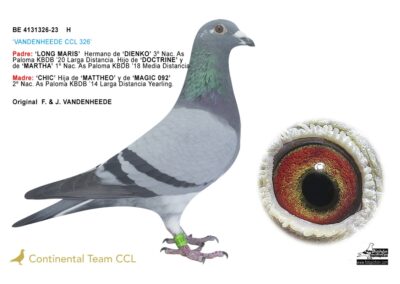 «VANDENHEEDE CCL 326»