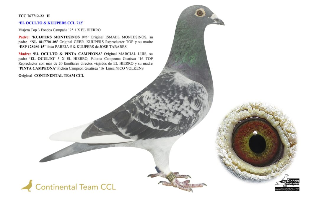 «EL OCULTO & KUIJPERS CCL 712»