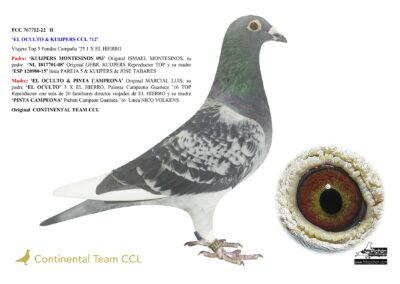 «EL OCULTO & KUIJPERS CCL 712»