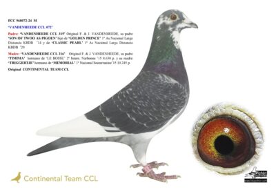 «VANDENHEEDE CCL 072» (NO DISPONBLE)