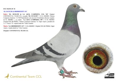 «EL OCULTO & ROODHOOFT CCL 193» (NO DISPONIBLE)