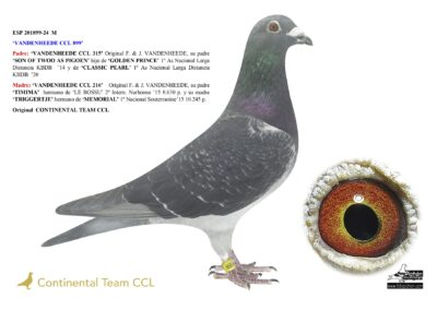 «VANDENHEEDE CCL 899»