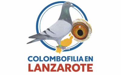 COLOMBOFILIA EN LANZAROTE