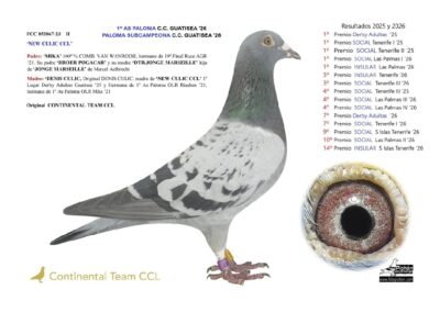 «NEW CULIC CCL»